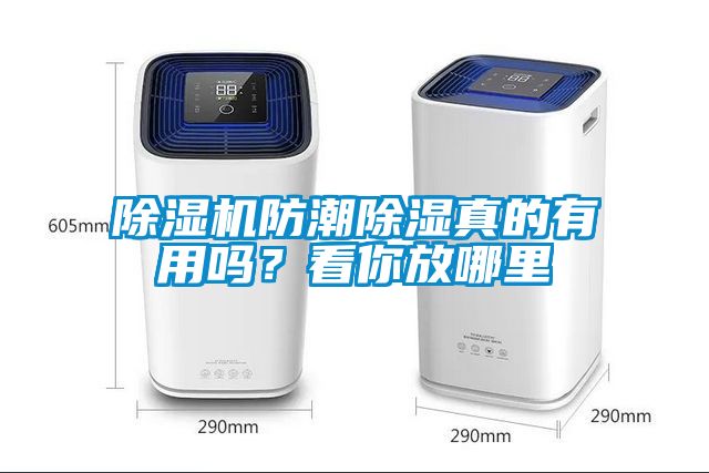 精品一区二区三区水蜜桃防潮除湿真的有用吗？看你放哪里