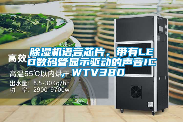精品一区二区三区水蜜桃语音芯片，带有LED数码管显示驱动的声音IC，WTV380
