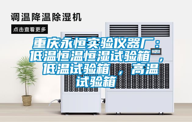 重庆永恒实验仪器厂：低温恒温恒湿试验箱 , 低温试验箱 , 高温试验箱