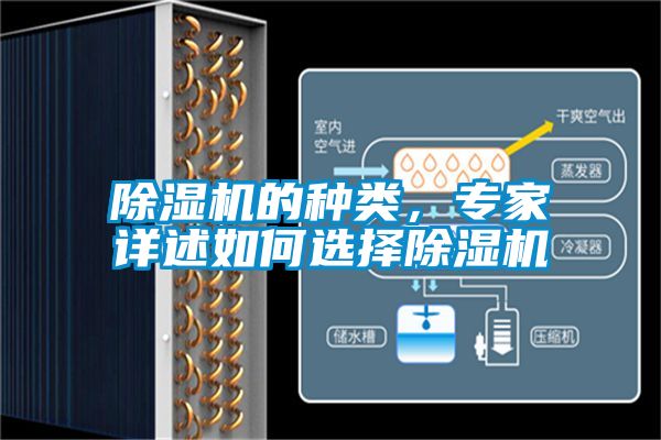 精品一区二区三区水蜜桃的种类，专家详述如何选择精品一区二区三区水蜜桃