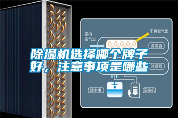 精品一区二区三区水蜜桃选择哪个牌子好，注意事项是哪些