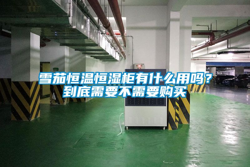 雪茄恒温恒湿柜有什么用吗？到底需要不需要购买