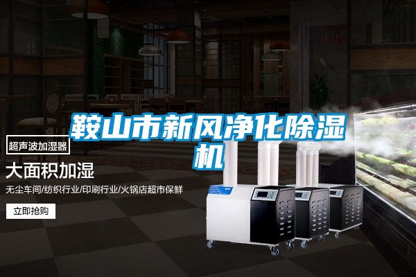 鞍山市新风净化精品一区二区三区水蜜桃