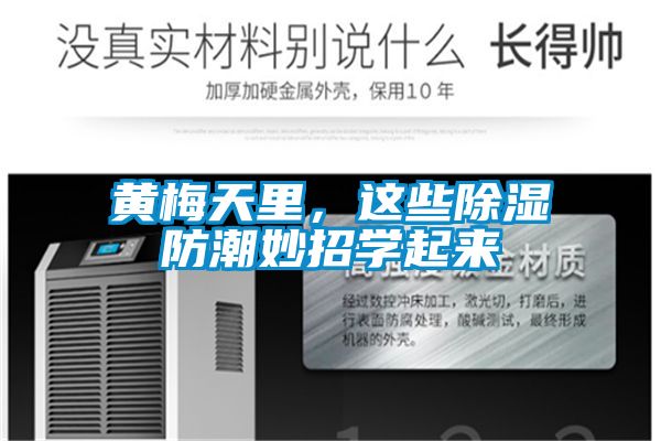 黄梅天里,这些除湿防潮妙招学起来