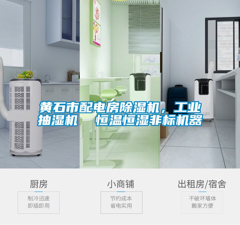 黄石市配电房精品一区二区三区水蜜桃,工业抽湿机 恒温恒湿非标机器