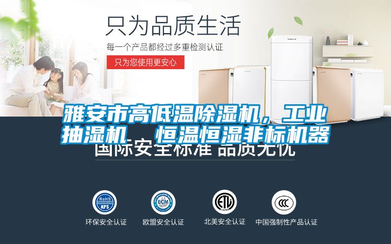 雅安市高低温精品一区二区三区水蜜桃，工业抽湿机  恒温恒湿非标机器
