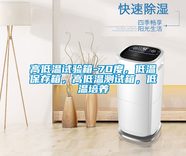 高低温试验箱-70度，低温保存箱，高低温测试箱，低温培养