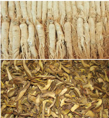 中药材烘干处理水蜜桃入口网页污